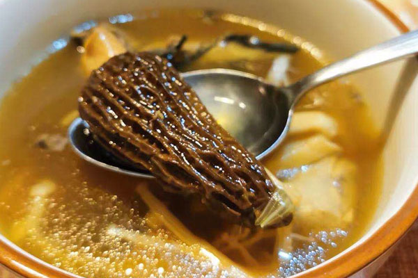 干羊肚菌可以泡一晚上嗎，羊肚菌的食用價值和功效