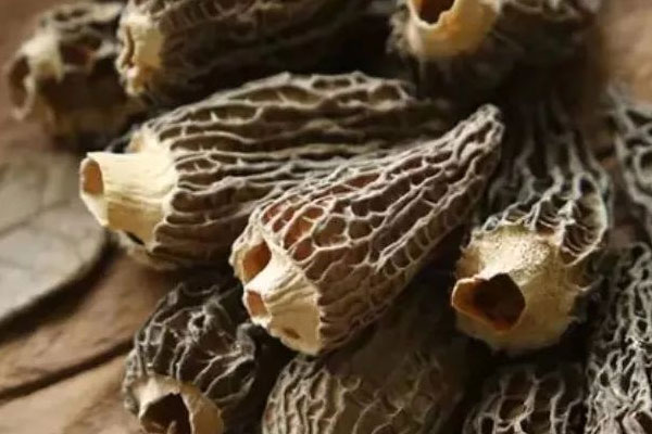 干羊肚菌泡的時間長了還能吃嗎 干羊肚菌泡的時間長了還能吃嗎