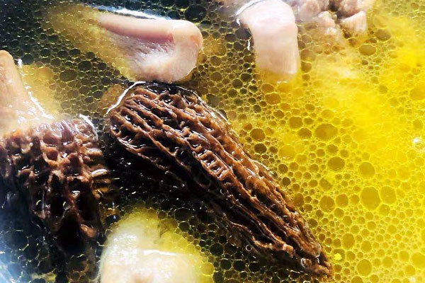 女性吃羊肚菌的功效與作用，羊肚菌可以和魚膠一起燉嗎