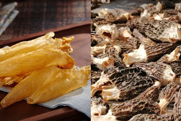 羊肚菌能和花膠一起燉嗎 羊肚菌能和花膠一起燉嗎