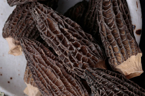 干羊肚菌泡久了有毒嗎 干羊肚菌泡久了有毒嗎