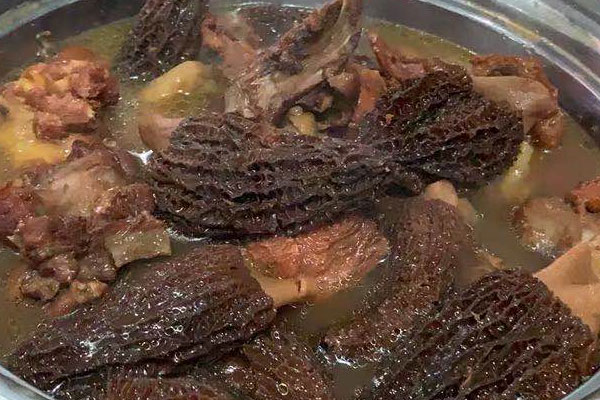 羊肚菌驢肉湯的食用禁忌 羊肚菌驢肉湯的食用禁忌