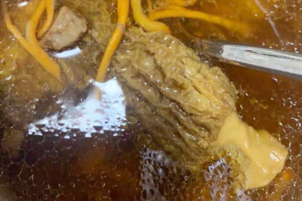 羊肚菌與太子參燉湯有哪些功效作用 羊肚菌與太子參燉湯有哪些功效作用