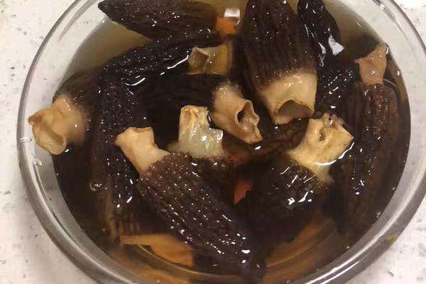 好的羊肚菌一斤有多少個 好的羊肚菌一斤有多少個