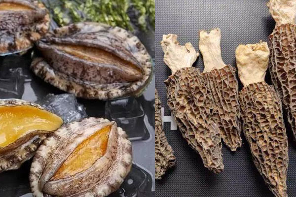 羊肚菌和鮑魚能一起吃嗎，羊肚菌搭配鮑魚有禁忌嗎
