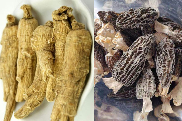 羊肚菌可以和花旗參一起煲雞湯嗎，羊肚菌花旗參怎么泡水喝