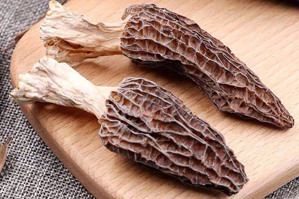 小孩吃羊肚菌會早熟嗎 小孩吃羊肚菌會早熟嗎