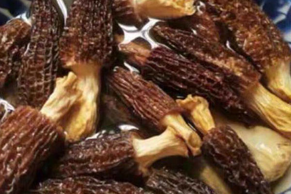 小孩吃羊肚菌需要剪菌腳嗎 小孩吃羊肚菌需要剪菌腳嗎