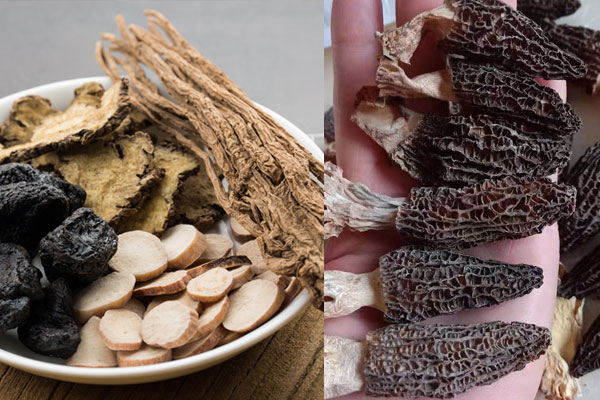 羊肚菌能和四物湯一起燉嗎 羊肚菌能和四物湯一起燉嗎