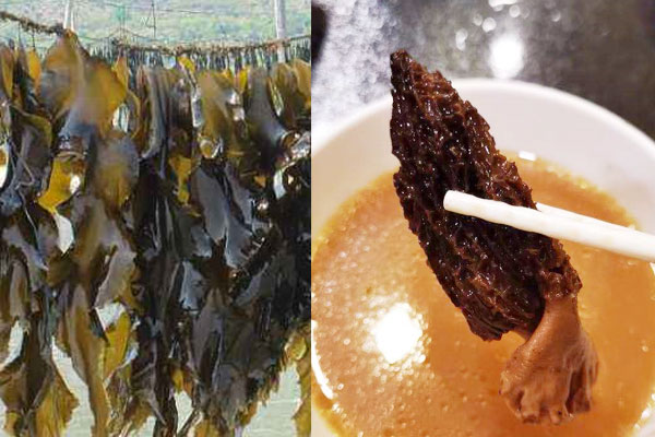 羊肚菌能跟海帶一起煲湯嗎 羊肚菌能跟海帶一起煲湯嗎