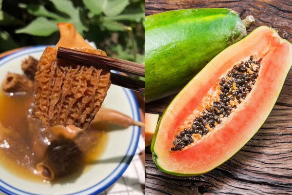 羊肚菌木瓜湯的食用禁忌 羊肚菌木瓜湯的食用禁忌