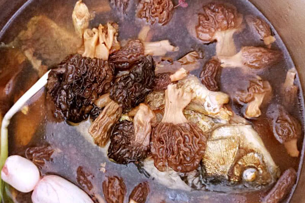 羊肚菌可以煲魚嗎 羊肚菌可以煲魚嗎