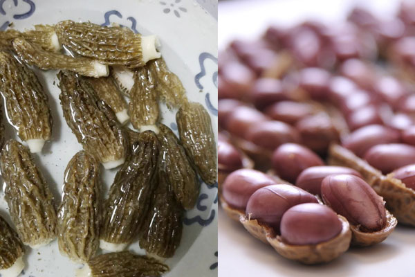 羊肚菌花生湯的食用禁忌 羊肚菌花生湯的食用禁忌