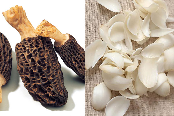 羊肚菌百合湯的食用禁忌 羊肚菌百合湯的食用禁忌