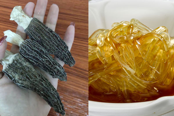 羊肚菌和魚翅怎么挑選 羊肚菌和魚翅怎么挑選