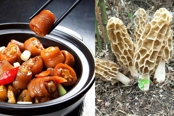 羊肚菌沙蟲湯的禁忌，羊肚菌可以燉豬尾巴嗎