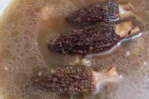 羊肚菌沙蟲(chóng)湯有哪些食用禁忌 羊肚菌沙蟲(chóng)湯有哪些食用禁忌