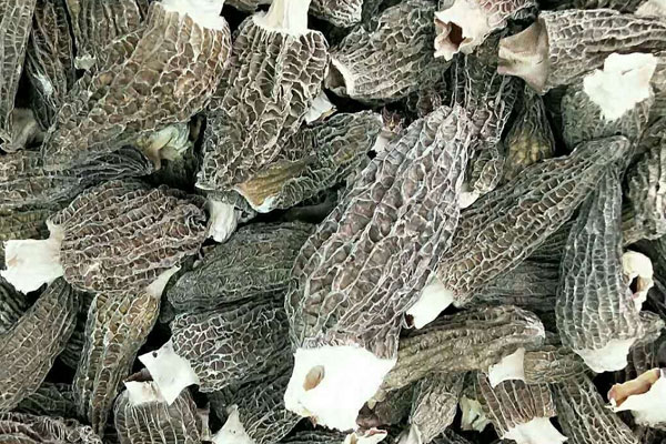 羊肚菌直接煮水喝的方法