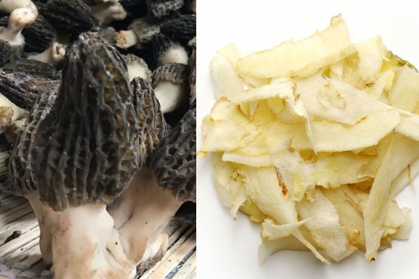 羊肚菌可以反復(fù)的泡水喝嗎，玉竹可以和羊肚菌一起燉雞嗎