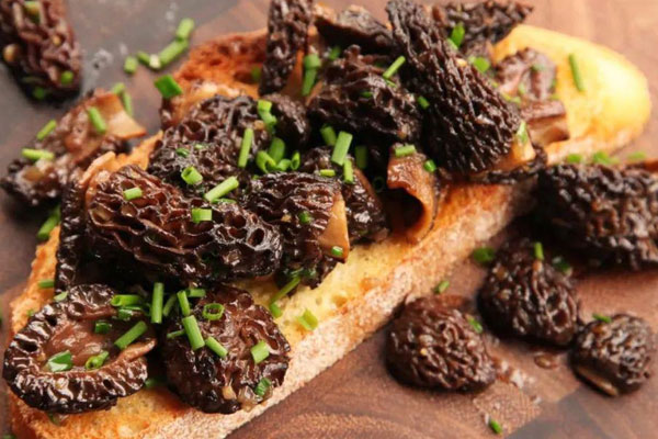 羊肚菌屬于粗纖維食物嗎 羊肚菌屬于粗纖維食物嗎