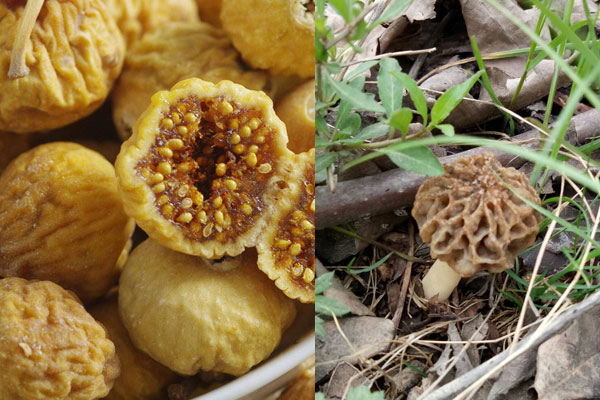 羊肚菌是粗纖維食物嗎 ，羊肚菌瘦肉無花果湯的功效