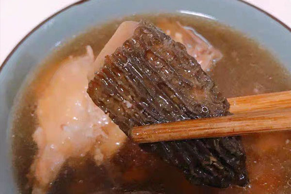 吃了變質(zhì)的羊肚菌會怎么樣 吃了變質(zhì)的羊肚菌會怎么樣