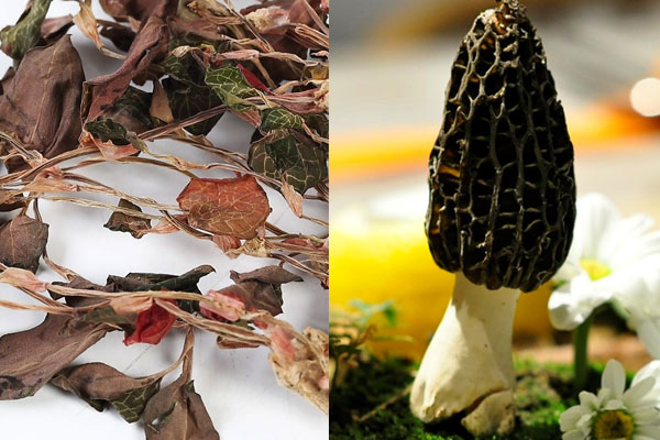 金線蓮能和羊肚菌一起燉湯嗎，羊肚菌排骨煲鴨需要多少分鐘