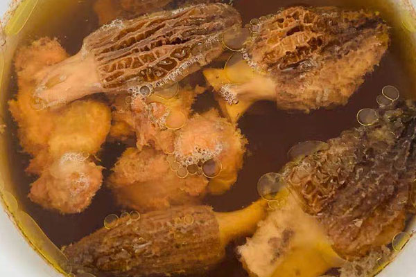 羊肚菌薏米燉湯的食用禁忌