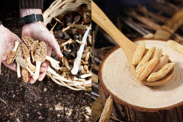 羊肚菌可以和麥冬一起煲湯嗎，羊肚菌可以和墨魚一起燉雞嗎