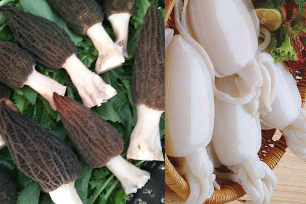 羊肚菌能和墨魚一起燉嗎 羊肚菌能和墨魚一起燉嗎