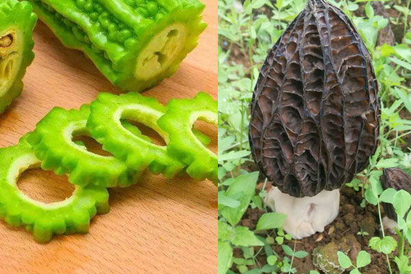 羊肚菌能與苦瓜一起煲湯嗎，羊肚菌能和紅棗一起燉湯嗎