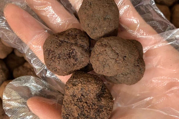 黑松露的賣相什么時候最好 黑松露的賣相什么時候最好