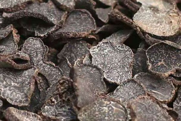 干黑松露泡茶喝營(yíng)養(yǎng)價(jià)值高嗎 干黑松露泡茶喝營(yíng)養(yǎng)價(jià)值高嗎