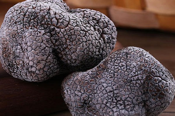 10-11月份冰凍黑松露的價(jià)格是多少一公斤 10-11月份冰凍黑松露的價(jià)格是多少一公斤
