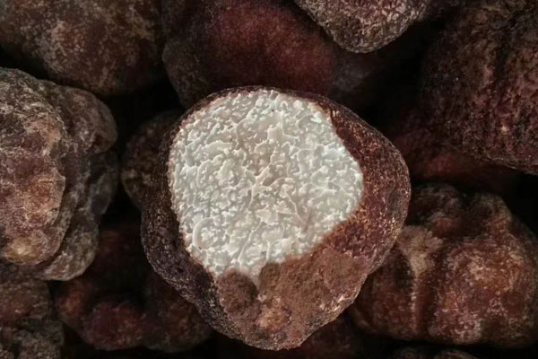 黑松露放冷凍幾年了還能吃嗎，黑松露的十種吃法