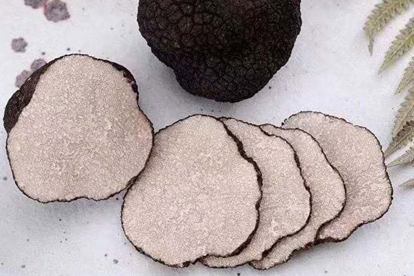 黑松露可以炒什么菜，干黑松露的家常做法有哪些