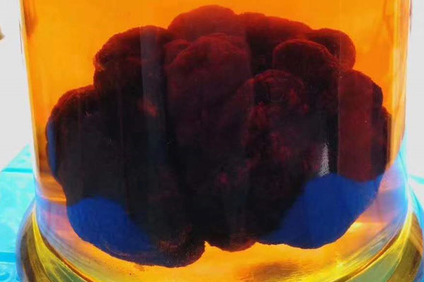 喝松露酒的禁忌 喝松露酒的禁忌