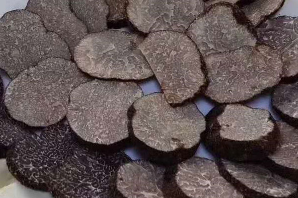 如何判斷黑松露有沒有成熟，吃黑松露片幾分鐘能見效