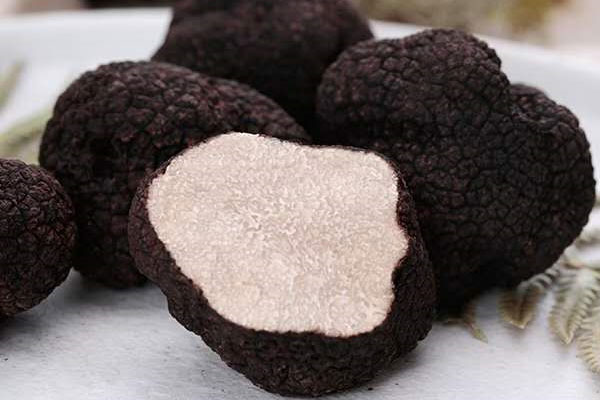怎么選黑松露 怎么選黑松露