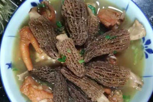 姬松茸羊肚菌雞湯的功效作用 姬松茸羊肚菌雞湯的功效作用