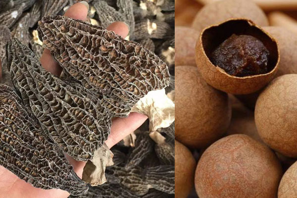 羊肚菌可以和什么一起燉湯，羊肚菌桂圓湯什么時候吃比較好