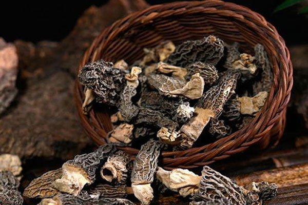 干羊肚菌怎么吃最好，羊肚菌當(dāng)歸湯每次吃多少