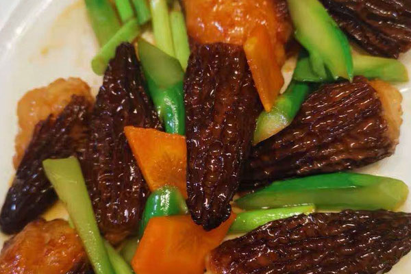 肝硬化患者可以吃羊肚菌嗎 肝硬化患者可以吃羊肚菌嗎