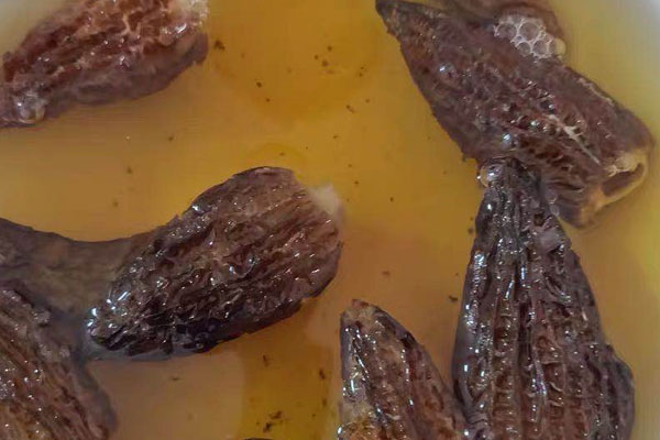 胃不好的人可以吃羊肚菌嗎 胃不好的人可以吃羊肚菌嗎