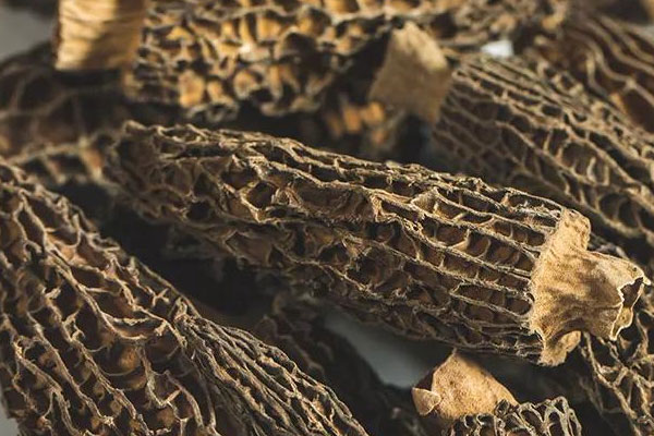 胃炎為什么不能吃羊肚菌 胃炎為什么不能吃羊肚菌