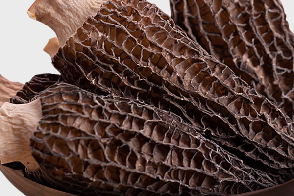 直腸癌化療期間能吃羊肚菌嗎 直腸癌化療期間能吃羊肚菌嗎