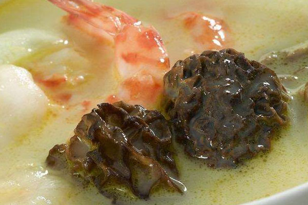 坐月子期間羊肚菌的做法