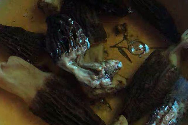 哺乳期吃羊肚菌會(huì)回奶嗎 哺乳期吃羊肚菌會(huì)回奶嗎