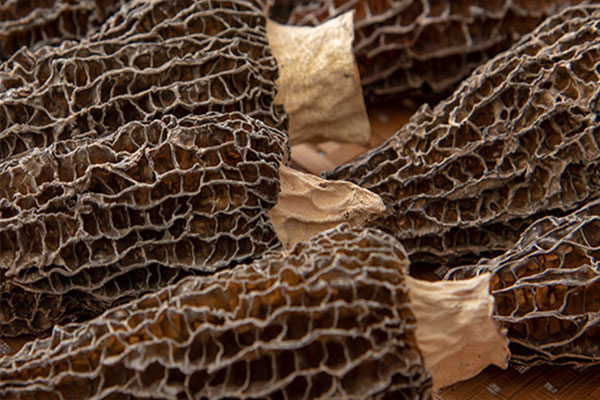 母乳媽媽能吃羊肚菌嗎 母乳媽媽能吃羊肚菌嗎