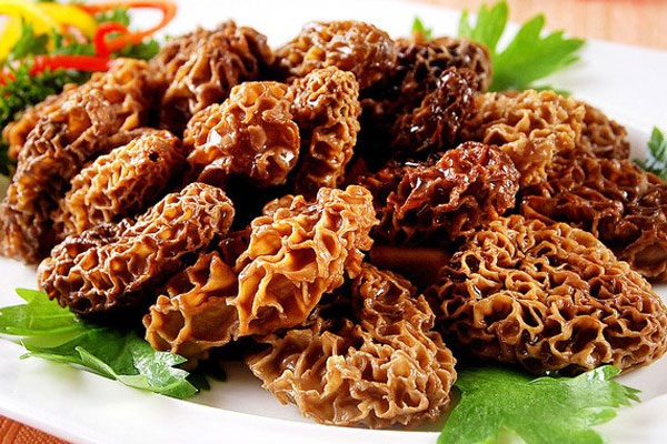 羊肚菌有下奶的功效嗎，糖尿病可以喝羊肚菌湯嗎